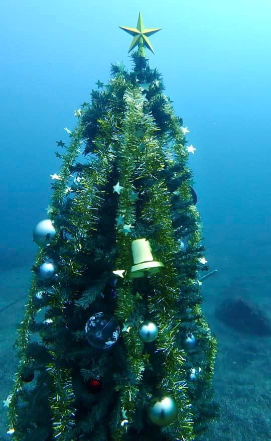 江之浦　ドラえもん　水中クリスマスツリー