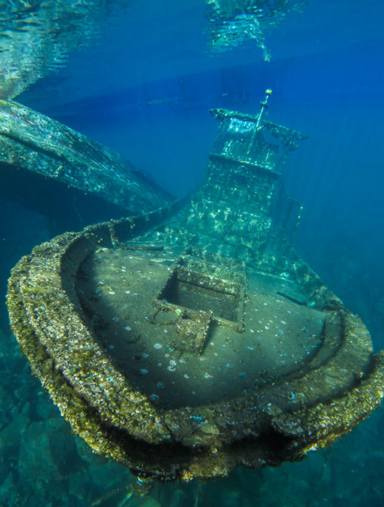 バミューダ海峡沈没船引き揚げブローチ大きいサファイヤ30カラット