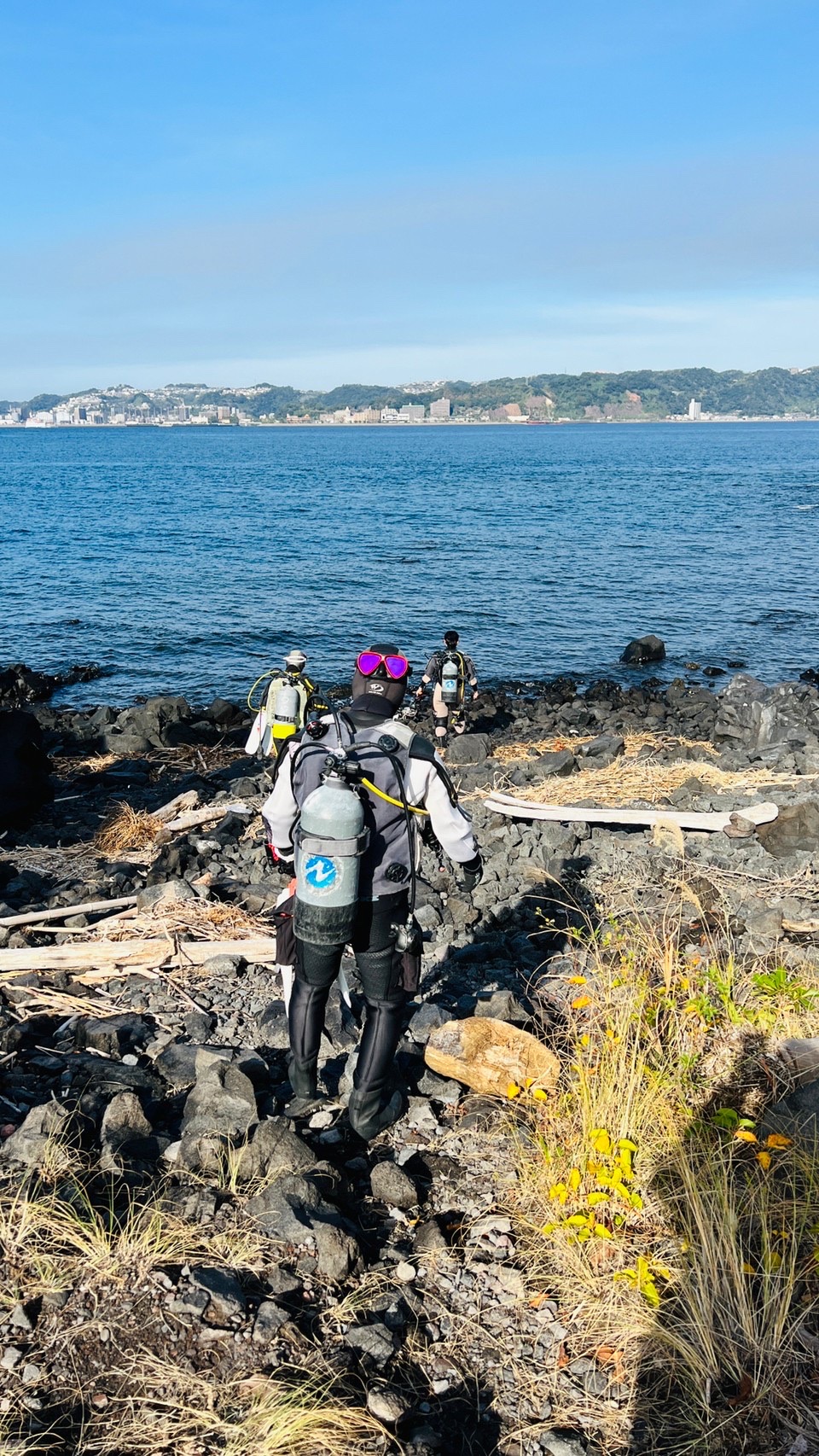 鹿児島　ダイビング　錦江湾　アカオビハナダイ