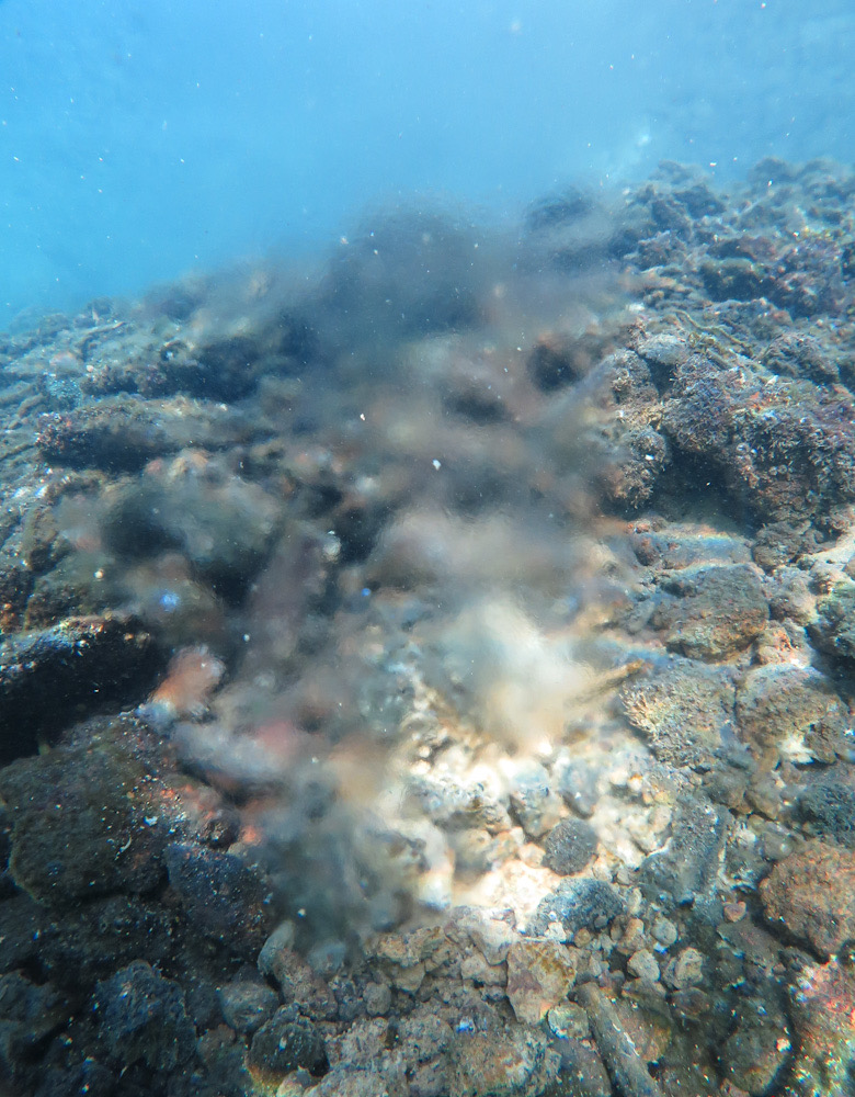 ケイレ湾　桜島　鹿児島　ダイビング　海中温泉