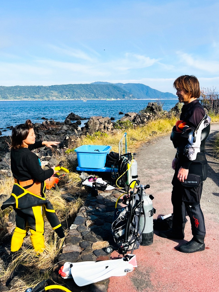 鹿児島　ダイビング　錦江湾　アカオビハナダイ