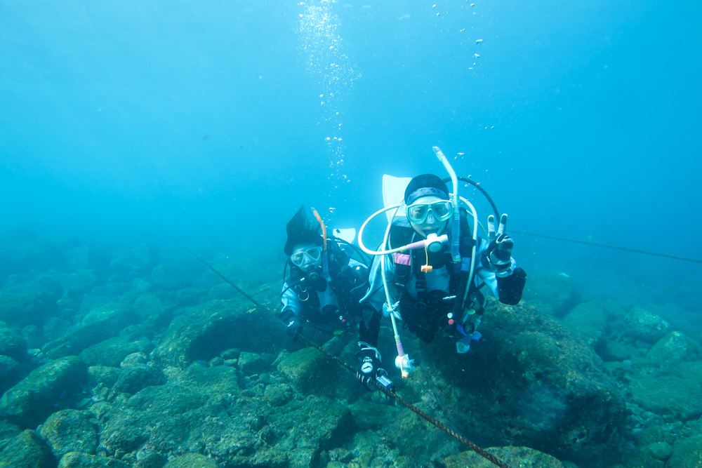 江の浦　ダイビング　神奈川　ラウト　鎌倉