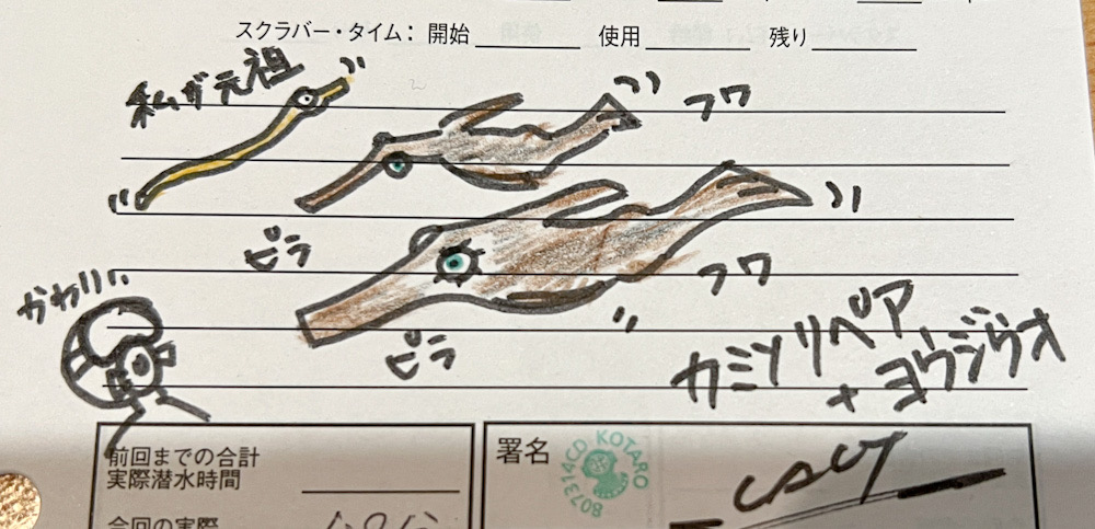 ダイビング ログ付け