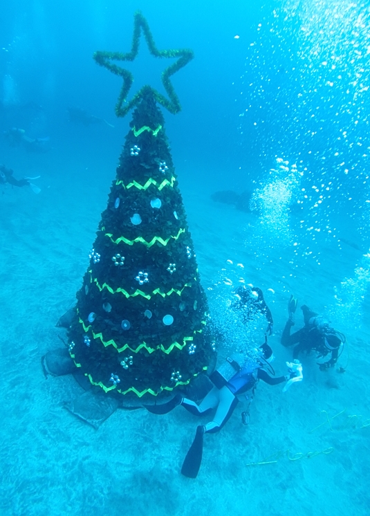 伊豆海洋公園　ダイビング　水中クリスマスツリー　
