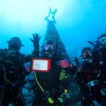 伊豆海洋公園　ダイビング　水中クリスマスツリー　