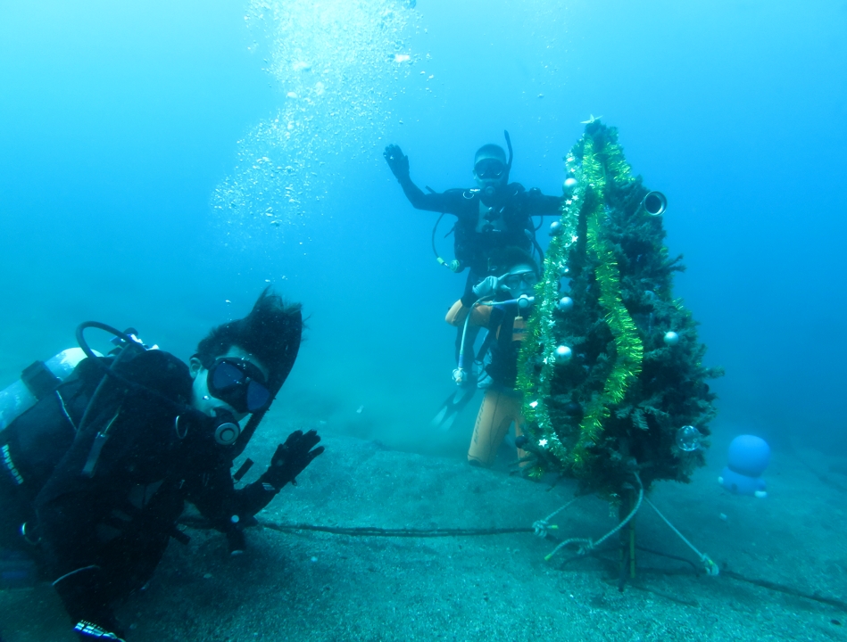 神奈川　PADI　オープンウォーターダイバー　ライセンス　取得　講習　ラウト鎌倉