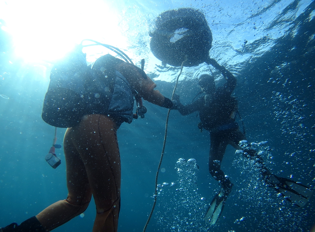 神奈川　PADI　オープンウォーターダイバー　ライセンス　取得　講習　ラウト鎌倉