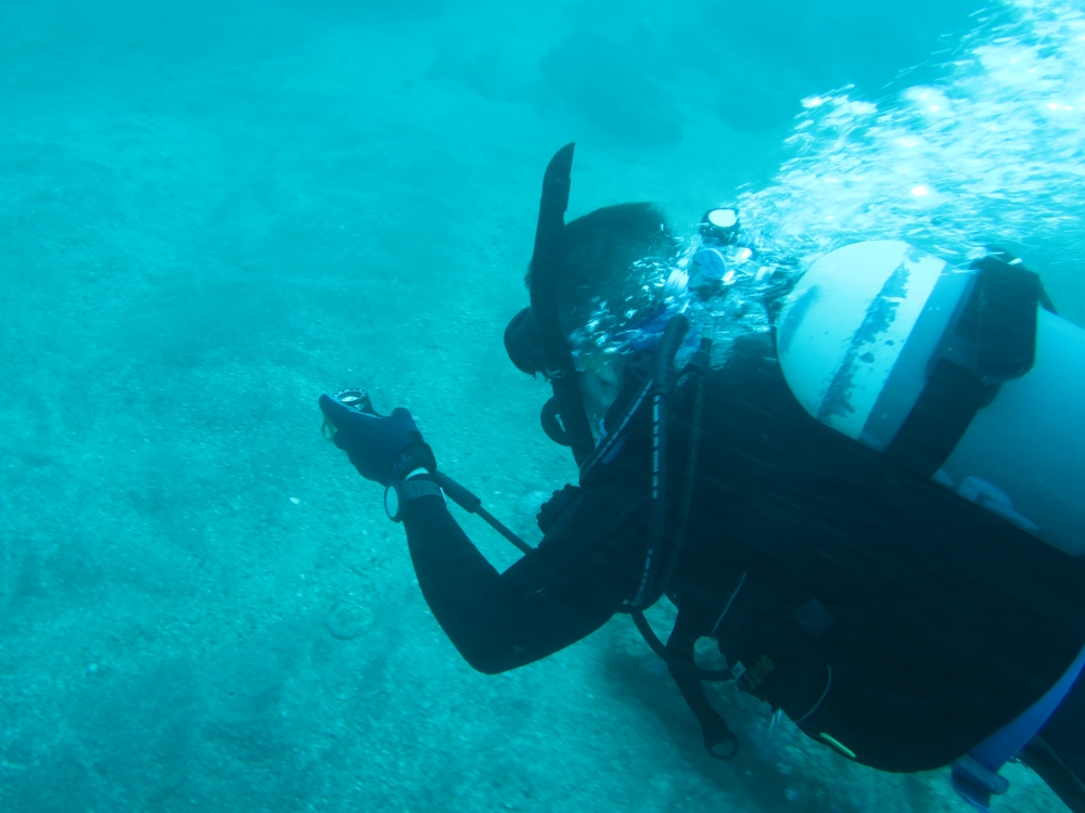 神奈川　PADI　オープンウォーターダイバー　ライセンス　取得　講習　ラウト鎌倉