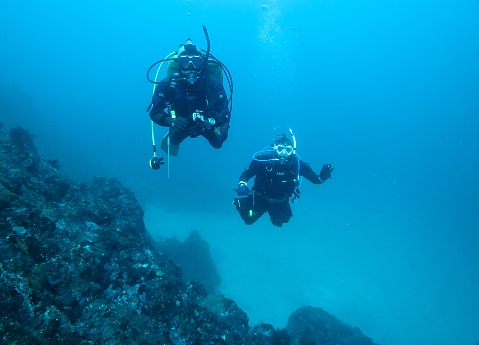 PADI　エンリッチドエアー　ナイトロックス　講習　認定　海洋実習　神奈川　伊豆　海洋公園