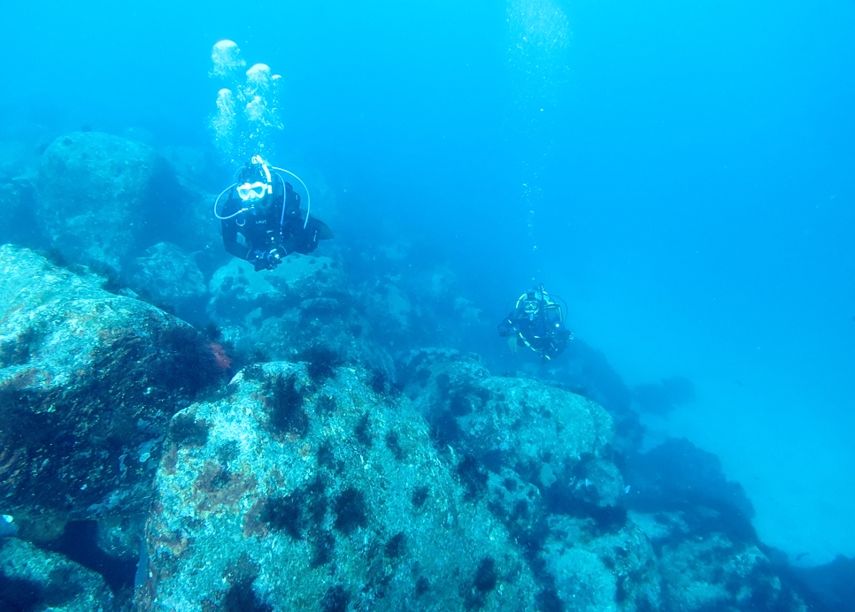 PADI　エンリッチドエアー　ナイトロックス　講習　認定　海洋実習　神奈川　伊豆　海洋公園