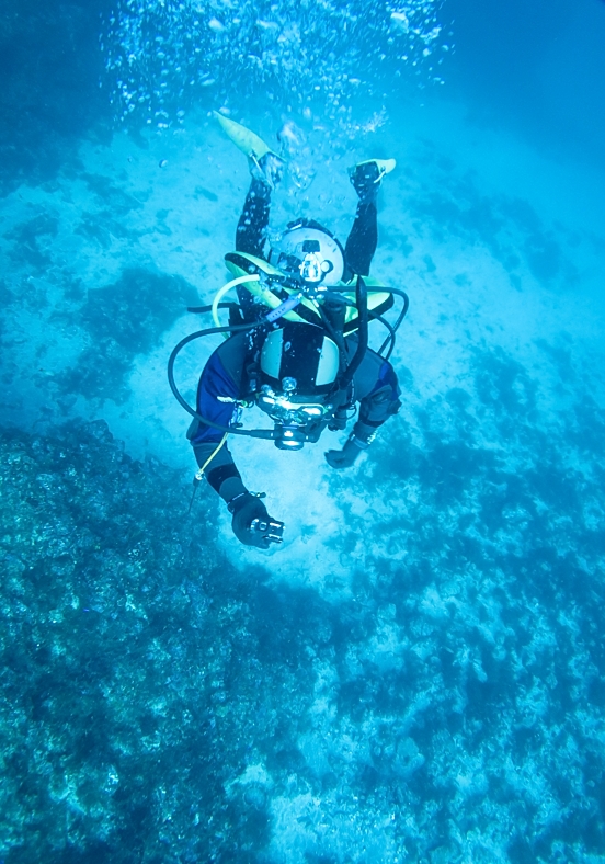 PADI　エンリッチドエアー　ナイトロックス　講習　認定　海洋実習　神奈川　伊豆　海洋公園