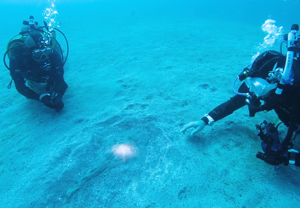 PADI　エンリッチドエアー　ナイトロックス　講習　認定　海洋実習　神奈川　伊豆　海洋公園