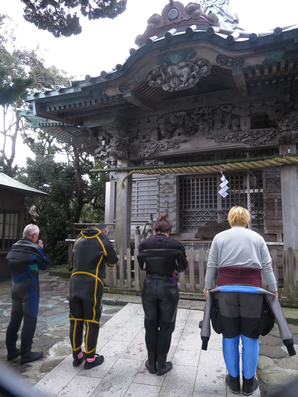 大瀬崎　ダイビング　透明度　群れ　大瀬神社