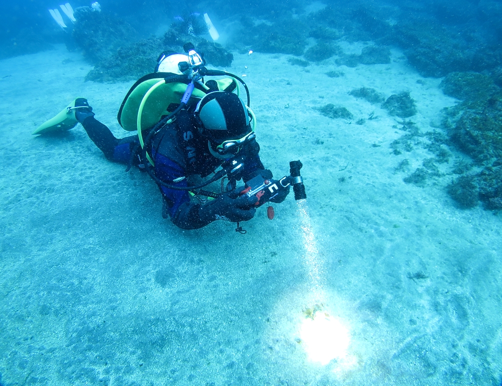 福浦　ダイビング　神奈川　ラウト　水中写真練習　講習