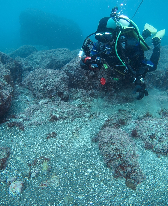 福浦　ダイビング　神奈川　ラウト　水中写真練習　講習