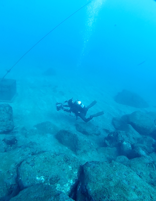 江の浦　ダイビング　神奈川