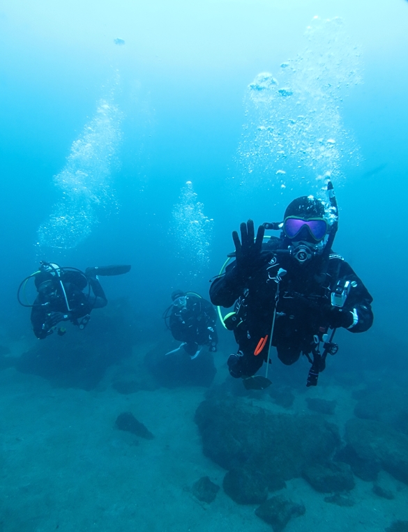 江の浦　ダイビング　神奈川