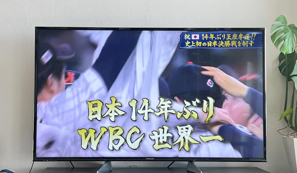 WBC 優勝