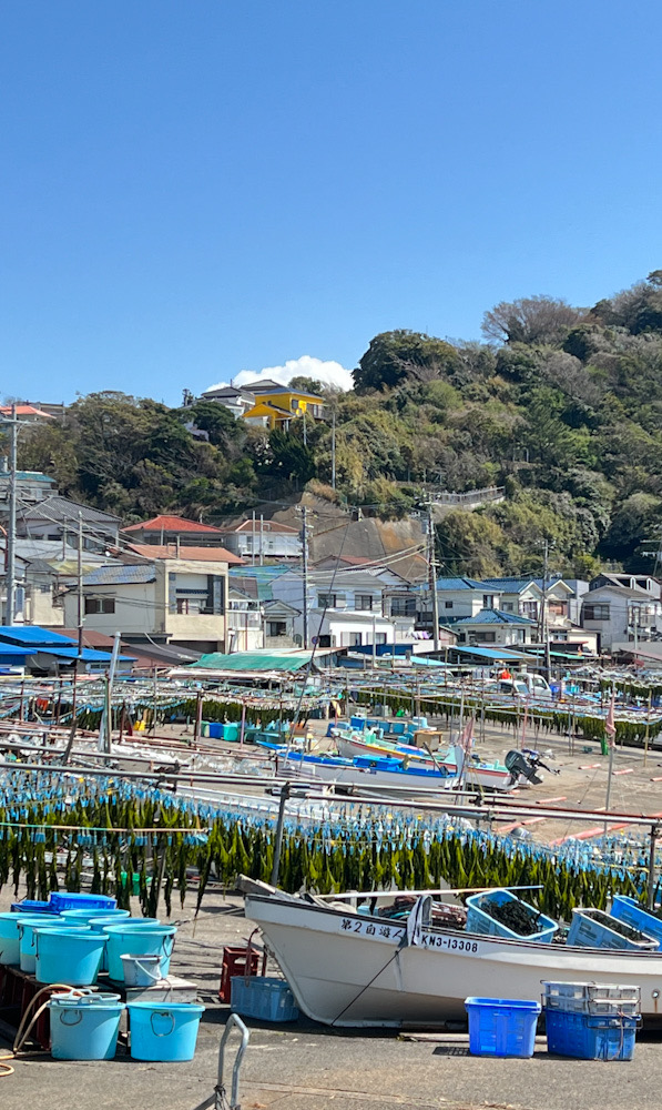 鎌倉散歩　海岸　材木座　由比ヶ浜　ビーチ