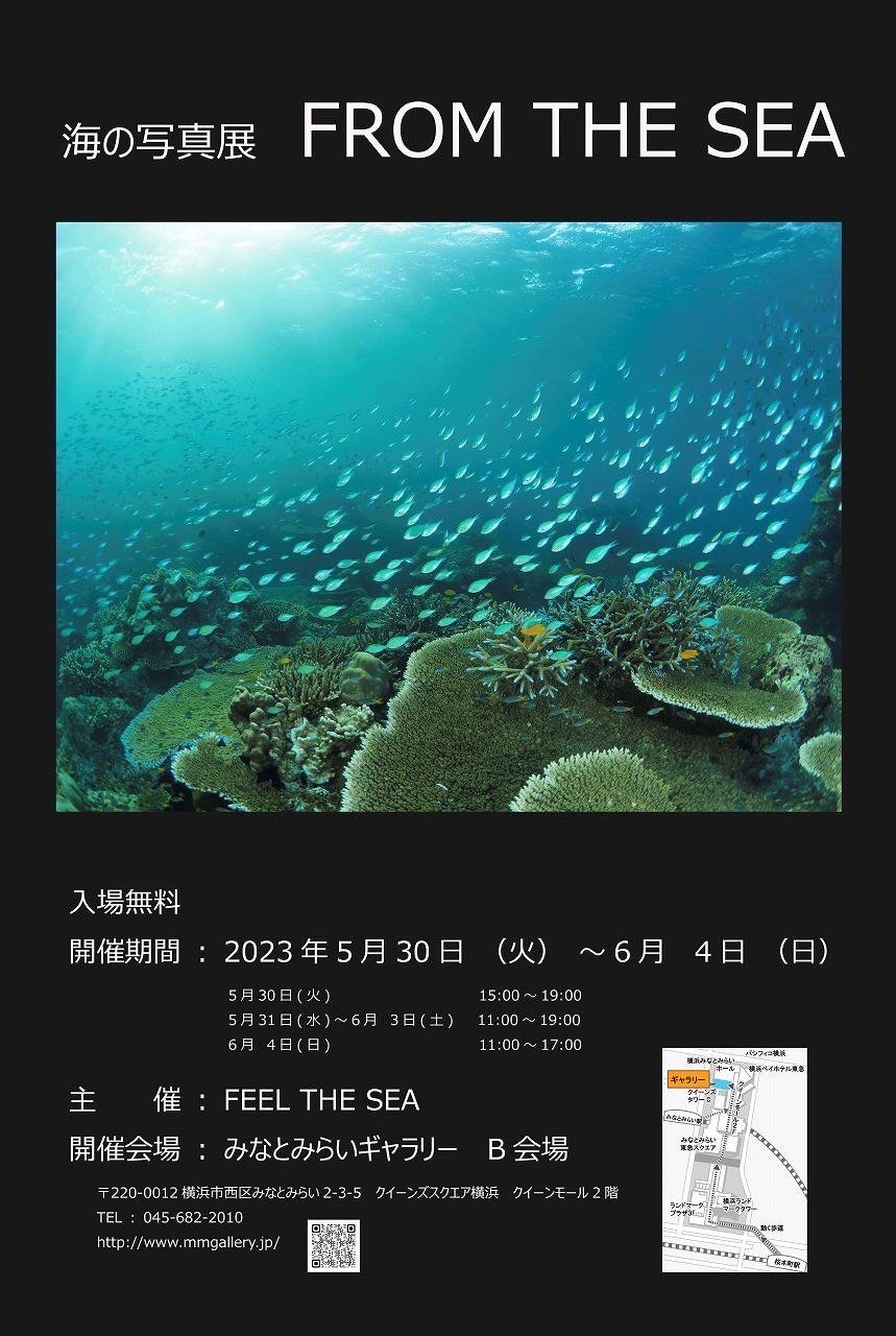 横浜　みなとみらい　水中写真展