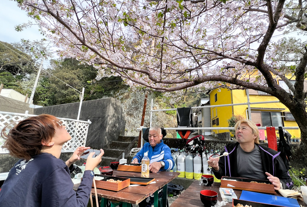 伊豆　桜　ダイビング　花見