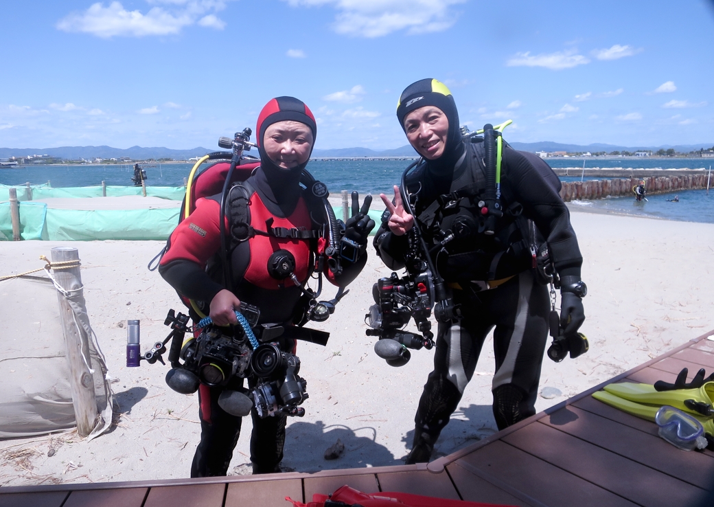 浜名湖　ウミウシ　ダイビング　ツアー