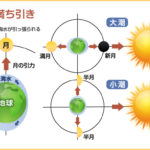 潮の満ち引き　しくみ　干潮　満潮　大潮　小潮