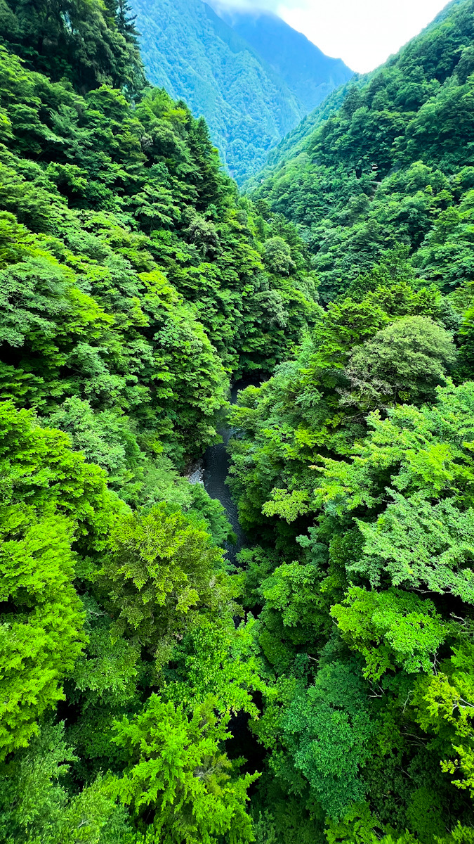 大井川鐡道　奥大井湖上駅　寸又峡　夢の吊橋　