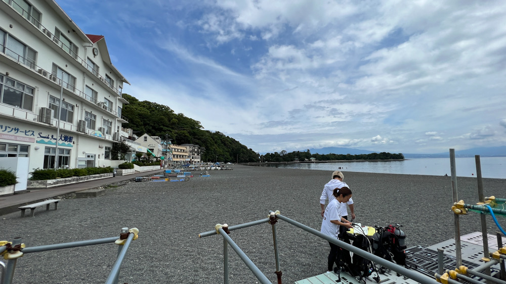 伊豆　ダイビング　大瀬崎　神奈川　ダイビングショップ