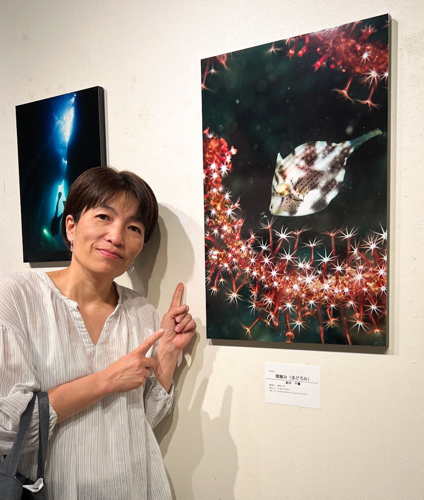 みなとみらい写真展　水中写真展　FROM THE SEA