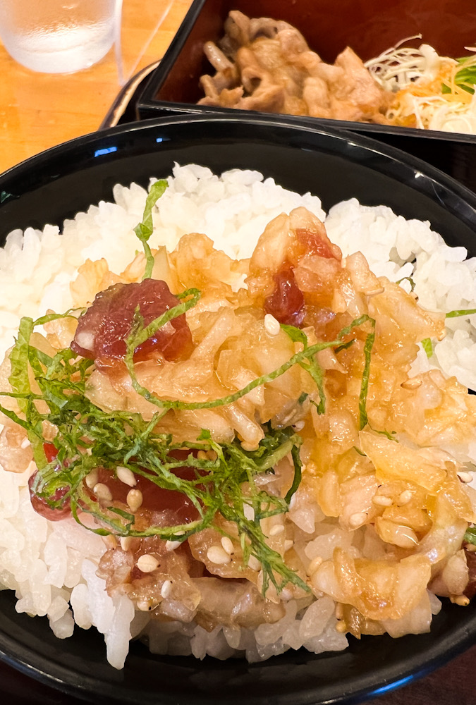 伊豆海洋公園　ダイビング　ポキ丼　神奈川　ショップ　ラウト　ツアー