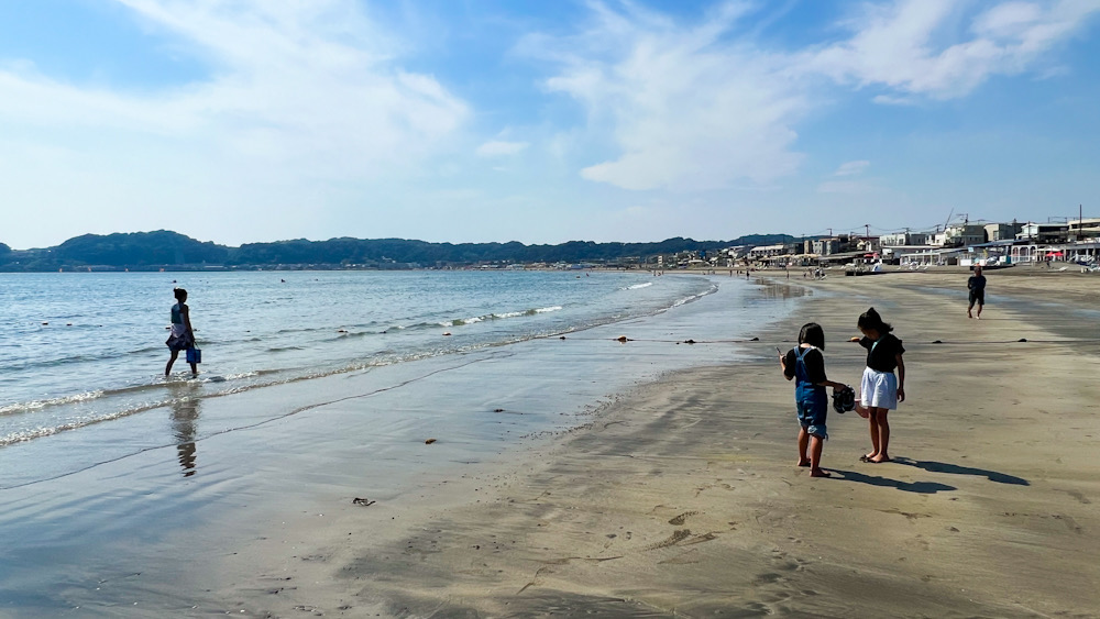 材木座　海の家　ビール　夏　ミル　海藻　和賀江島