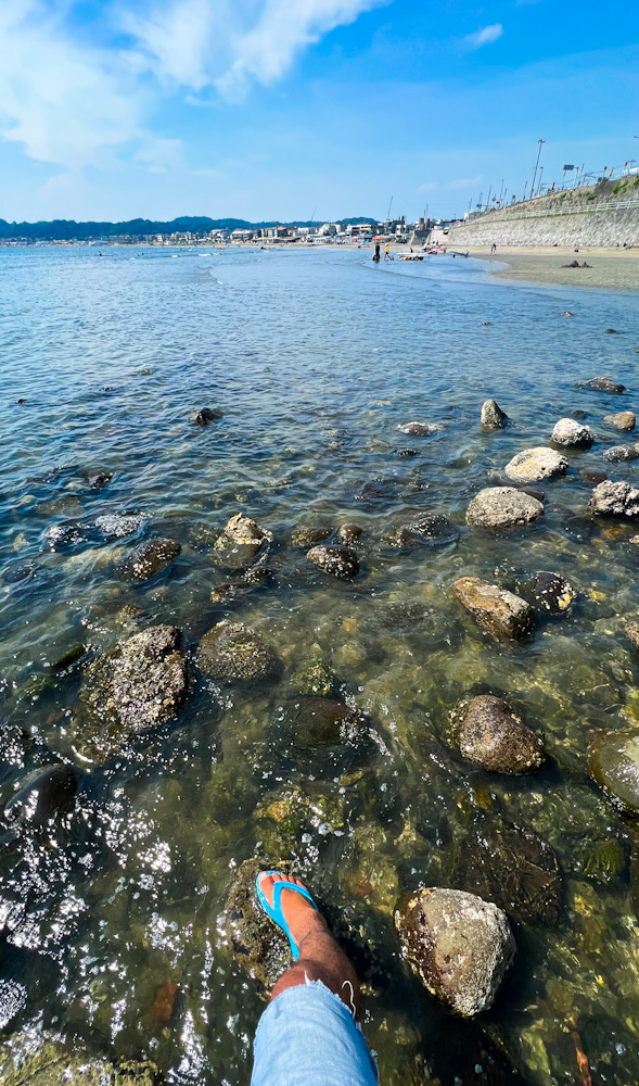 材木座　海の家　ビール　夏　ミル　海藻　和賀江島