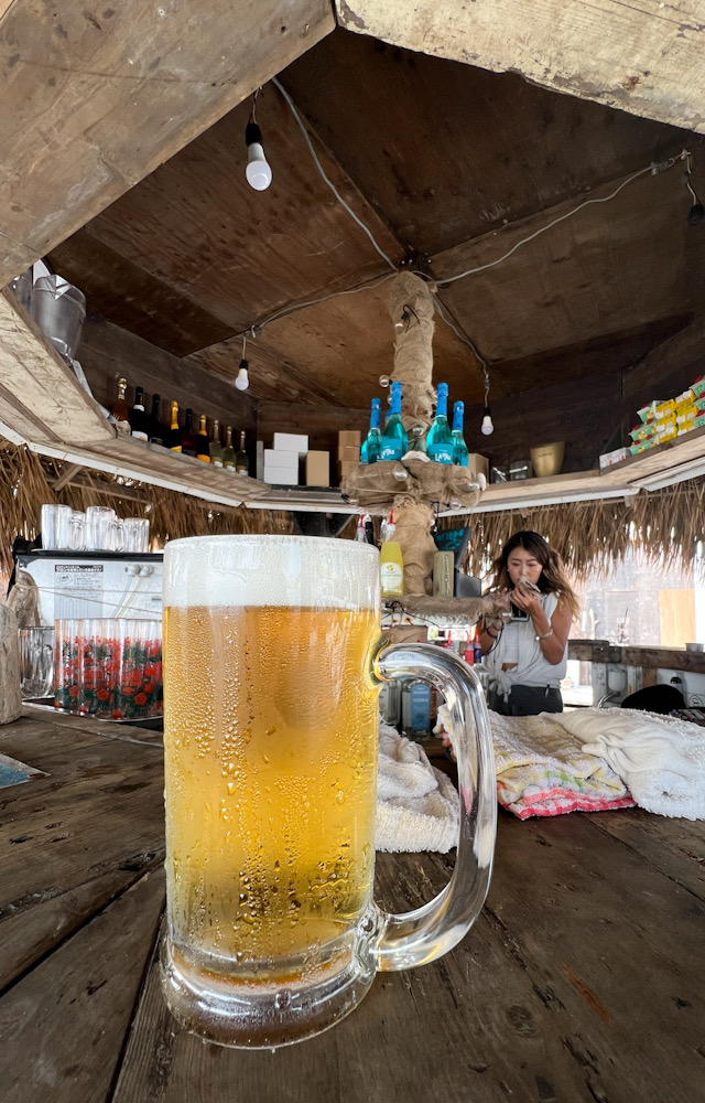 材木座　海の家　ビール　夏　ミル　海藻　和賀江島