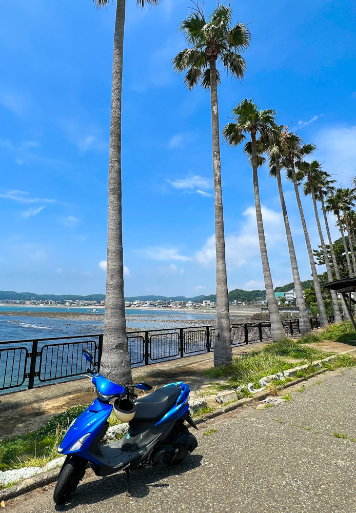 材木座ビーチ　鎌倉　海の家オープン