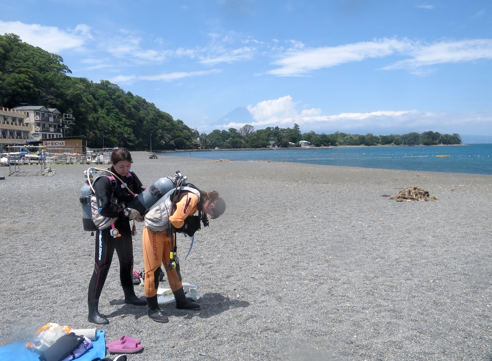 ダイビング　神奈川　ライセンス　鎌倉　湘南　ラウト　お泊まり