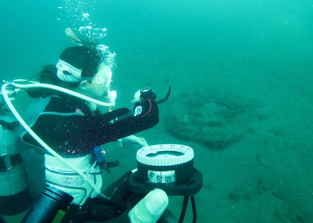 ダイビング　神奈川　ライセンス　鎌倉　湘南　ラウト　お泊まり