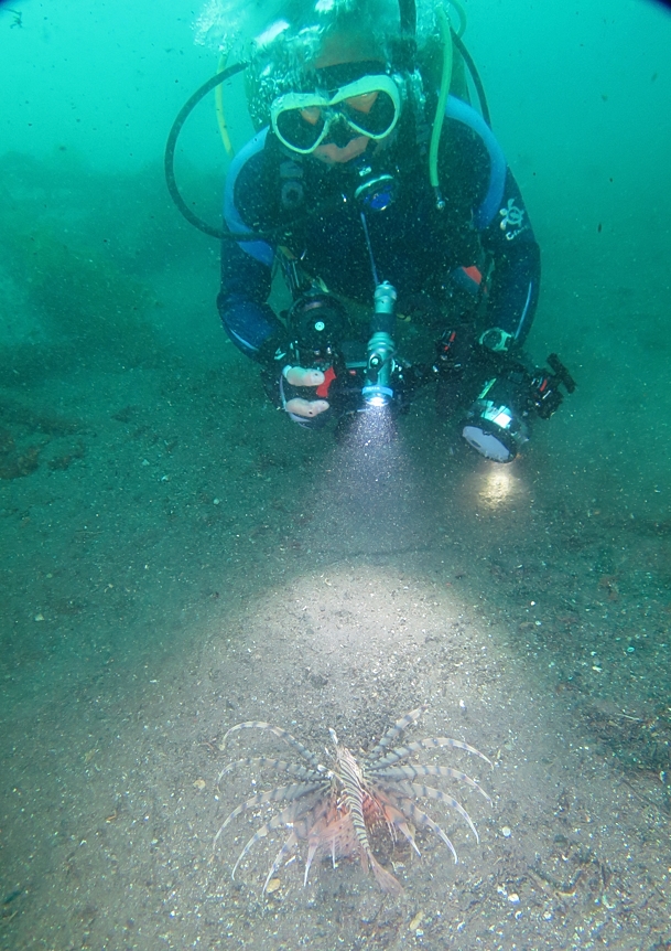 ダイビング　神奈川　ライセンス　鎌倉　湘南　ラウト　お泊まり