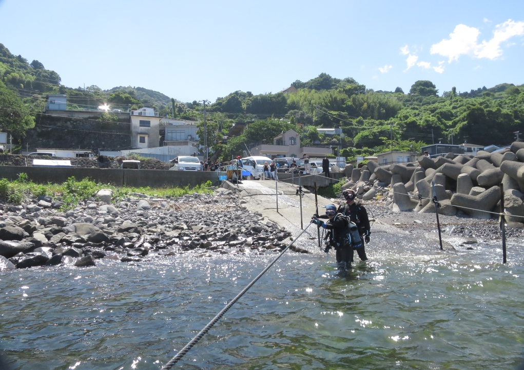 江之浦　ダイビング　中性浮力　水中写真　神奈川　ラウト