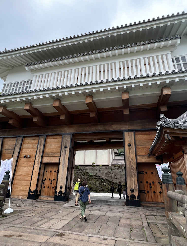 屋久島　ダイビング　鹿児島ツアー　神奈川　