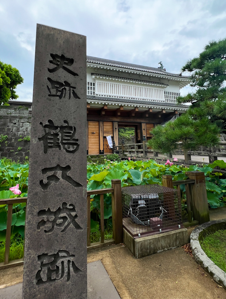 屋久島　ダイビング　鹿児島ツアー　神奈川　　鶴丸城