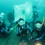 神奈川　ダイビング　日帰りツアー　水中写真　講習　鎌倉　ラウト