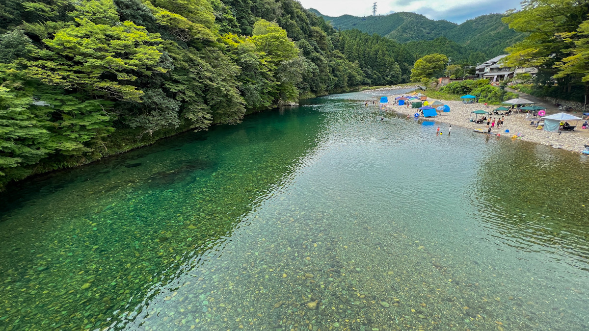 美濃　リバーダイビング　オオサンショウウオ　PADI