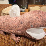 オオサンショウウオ　ティッシュケース