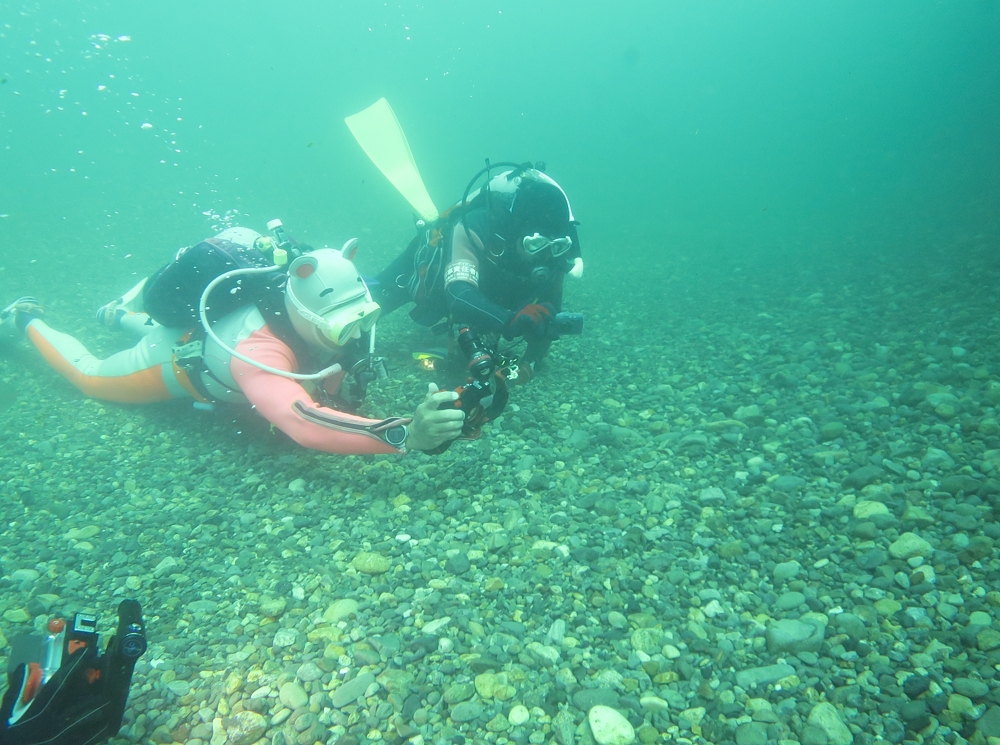 美濃　リバーダイビング　オオサンショウウオ　PADI