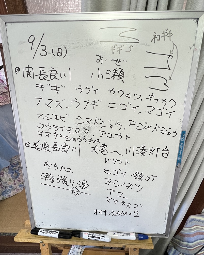 美濃橋　リバーダイビング　オオサンショウウオ　PADI