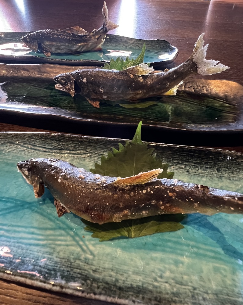 長良川 アユ 鮎 塩焼き