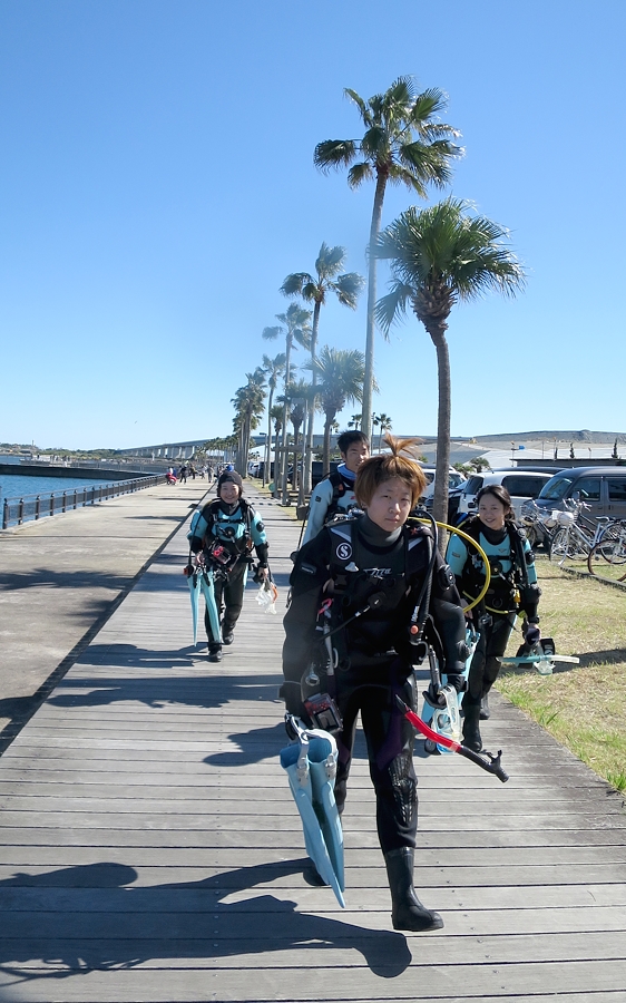 浜名湖　ダイビング　日帰り　ツアー　神奈川　