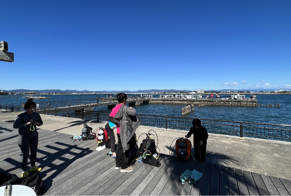 浜名湖　ダイビング　日帰り　ツアー　神奈川　