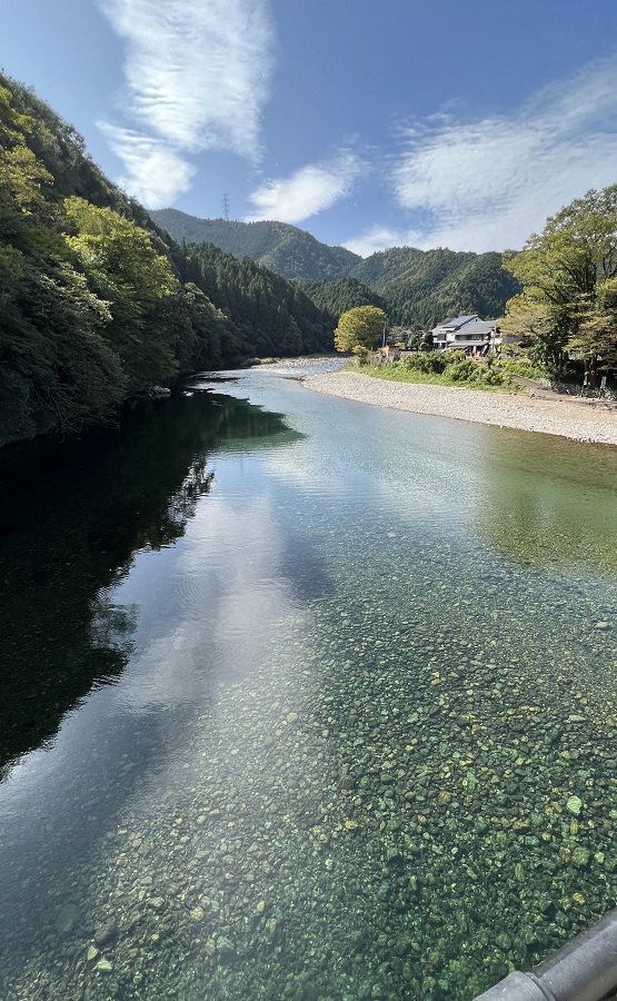 長良川　リバーダイビング　神奈川　岐阜　講習　オオサンショウウオ